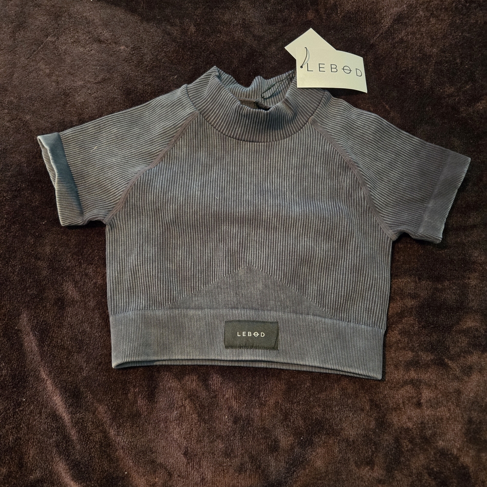 Gray Heathered Crop Top with Ribbed Neckline